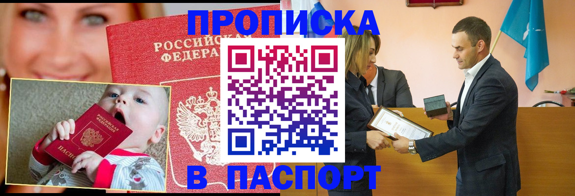 прописка поиск в Курчалом
