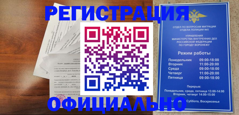 прописка поиск в Курчалом